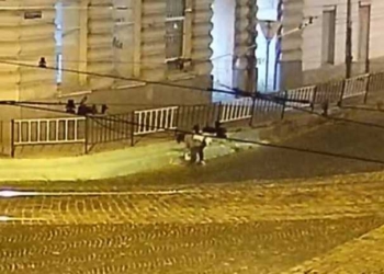 Во Львове полиция ищет неизвестную женщину, которая ночью покрасила бордюры в зеленый цвет (ВИДЕО)