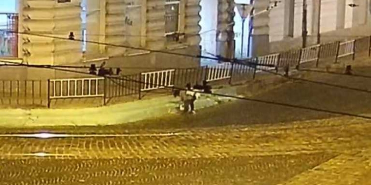 Во Львове полиция ищет неизвестную женщину, которая ночью покрасила бордюры в зеленый цвет (ВИДЕО)