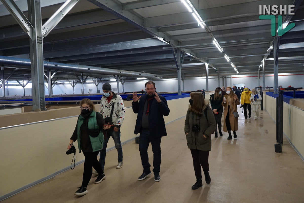 “Акваферма Тилигул” в Николаевской области стала крупнейшим в Европе питомником по разведению креветки (ФОТО и ВИДЕО)