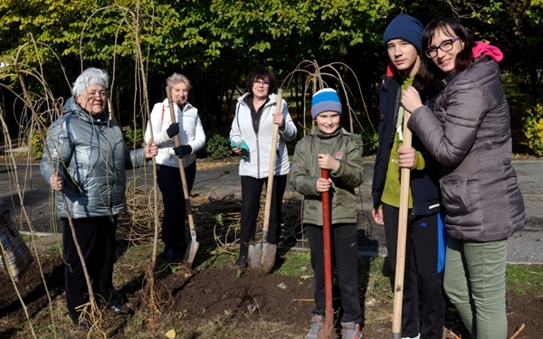 Николаевцы высадили аллею декоративной шелковицы в парке “Юность” (ФОТО)