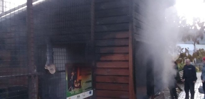 В зоопарке Луцка на пожаре сгорели три обезьяны 1