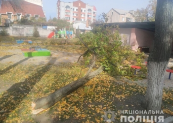 В Кременчуге в садике на детей рухнуло кронованное дерево: 4-летняя девочка в коме