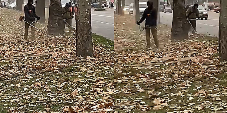 В ноябре в Николаеве собрали и вывезли на свалку более 13,3 тысяч кубометров опавших листьев