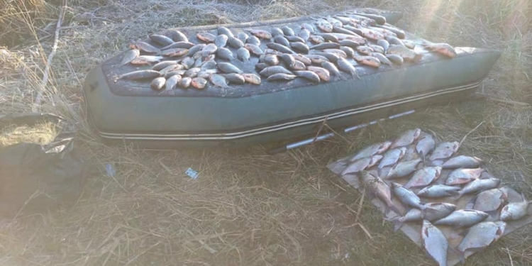 Один выловил 3 кг раков, второй – 40 кг рыбы. «Добыча» Николаевского рыбоохранного патруля – два браконьера (ФОТО)