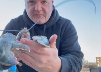 У американских берегов выловили редчайшего перламутрового омара (ВИДЕО)