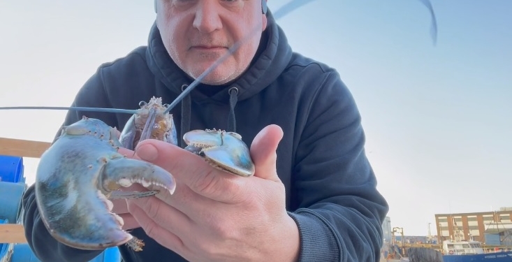 У американских берегов выловили редчайшего перламутрового омара (ВИДЕО)