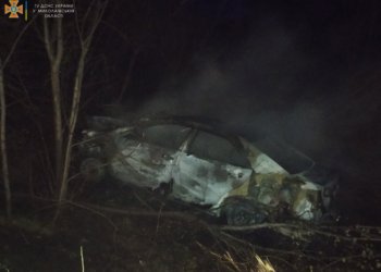 У села Троицкое на Николаевщине сгорела Toyota Camry