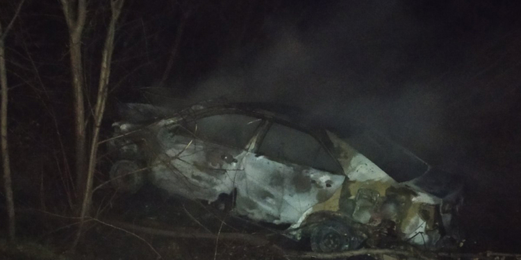 У села Троицкое на Николаевщине сгорела Toyota Camry