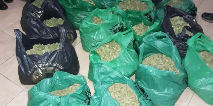 В Вознесенске у мужчины изъяли 20 кг конопли на сумму свыше 1 млн.грн. (ФОТО)