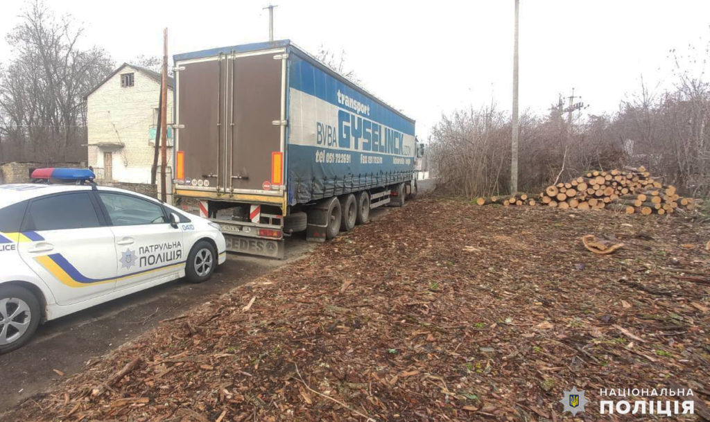 Более 45 куб. м незаконно спиленных дубов и ясеней изъяли правоохранители в Николаевской области (ФОТО) 1
