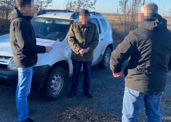В Донецкой области задержали одного из организаторов местного псевдореферендума 2014 года