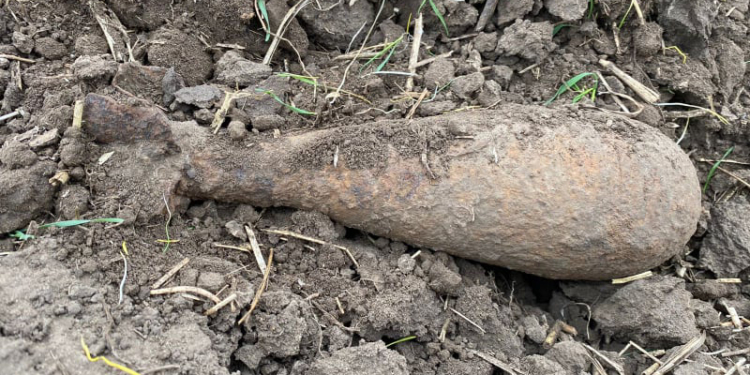 В Николаеве нашли старую минометную мину