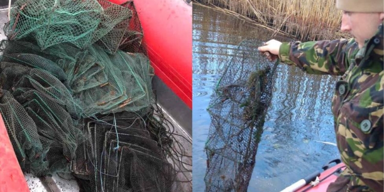 На Николаевщине Госэкоинспекция освободила из браконьерских сетей 159 раков