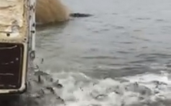 В Николаеве для восстановления экосистемы Южного Буга выпустили 1,2 тонны малька толстолобика (ВИДЕО)