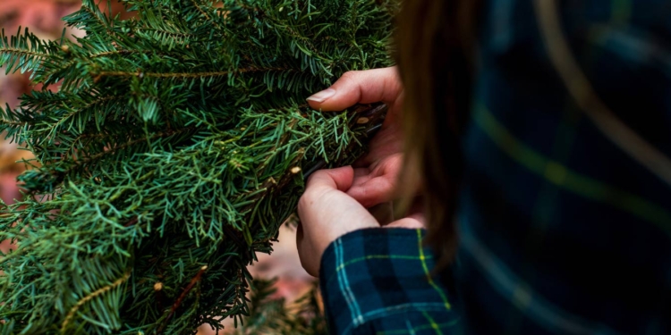 Интересная идея: в польском городе будут обменивать использованные батарейки на новогодние елки
