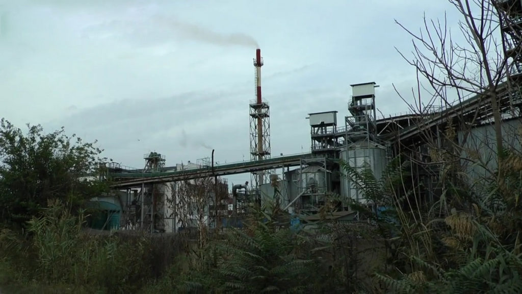 На Намыве в Николаеве собирали подписи против завода-загрязнителя "Экотранс" (ФОТО) 3