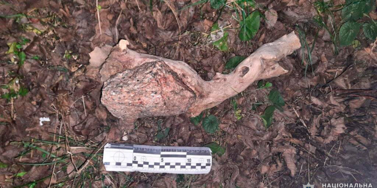 На Николаевщине мужчина убил сына, а его тело сжег (ФОТО)