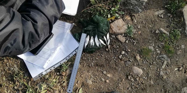 За выходные Николаевский рыбоохранный патруль поймал на Южном Буге и Ингуле 7 браконьеров (ФОТО)