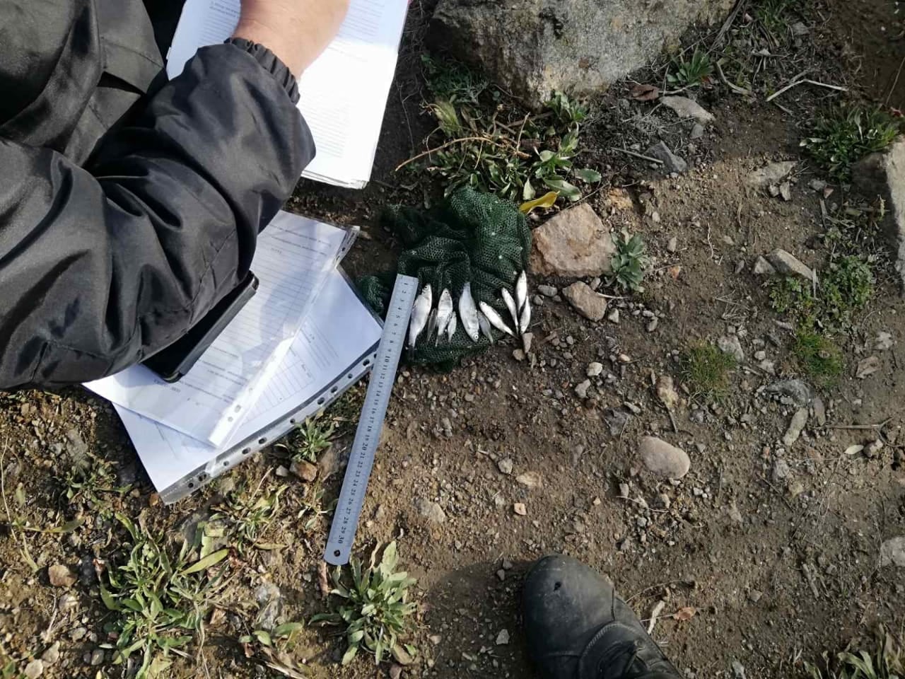 За выходные Николаевский рыбоохранный патруль поймал на Южном Буге и Ингуле 7 браконьеров (ФОТО)