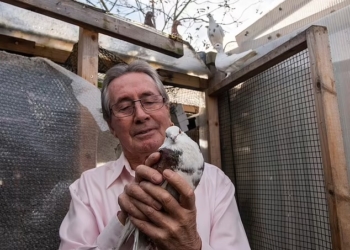 В Британии 70-летнего голубевода оштрафовали почти на 1 тыс.фунтов стерлингов за шум от птиц (ФОТО)