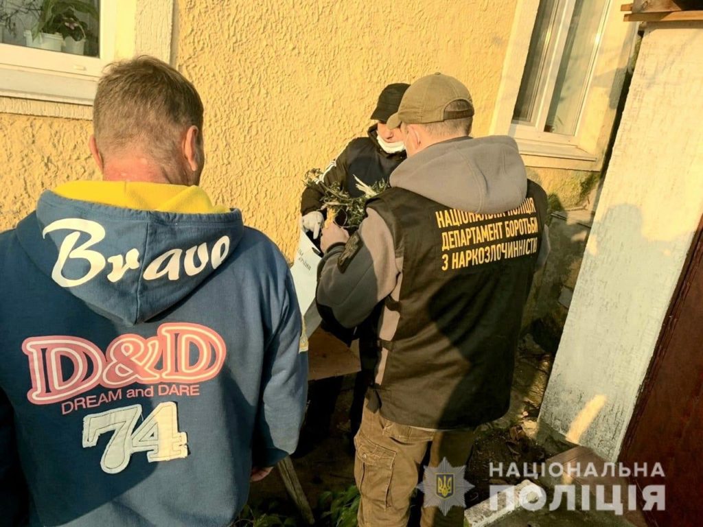 Николаевские полицейские нашли у двух жителей Вознесенска коноплю на более чем на 400 тысяч гривен (ФОТО) 1