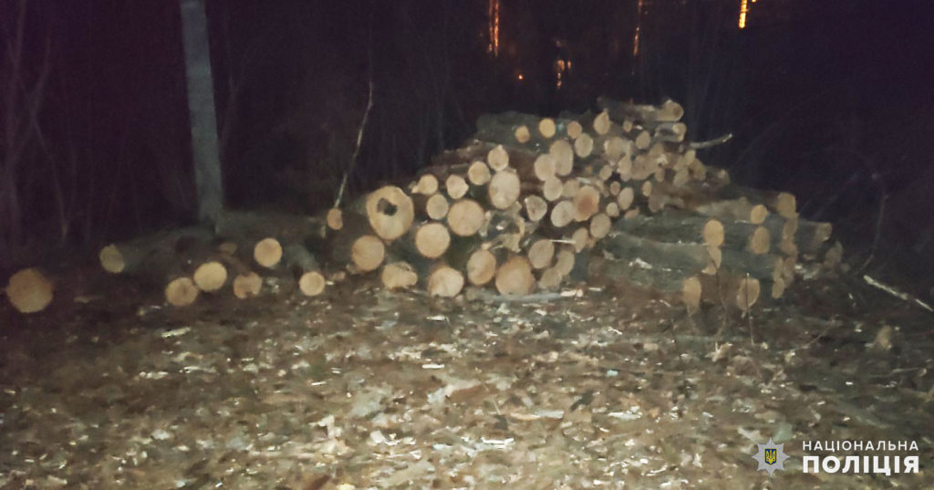 Более 45 куб. м незаконно спиленных дубов и ясеней изъяли правоохранители в Николаевской области (ФОТО) 3