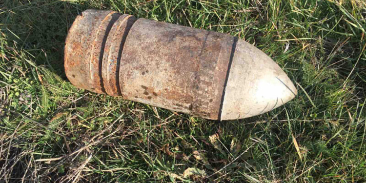 На Николаевщине обезвредили два артснаряда (ФОТО)