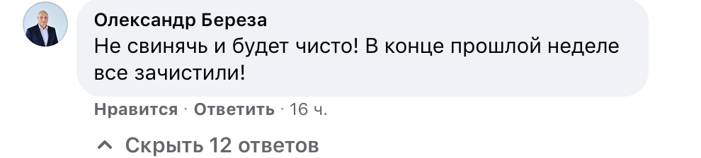 Свиньи, "заср@нцы" и "сами виноваты" - в трех райадминистрациях Николаева виновниками стихийных свалок считают только жителей 2