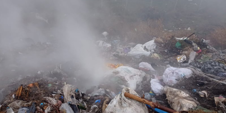 Под Вознесенском несколько часов горела свалка (ФОТО)