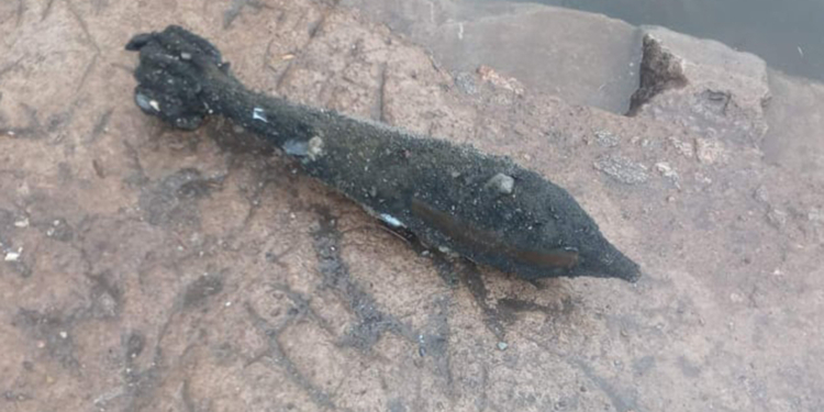 На Николаевщине минометную мину выловили в Южном Буге, а артснаряд нашли у Криничек (ФОТО)