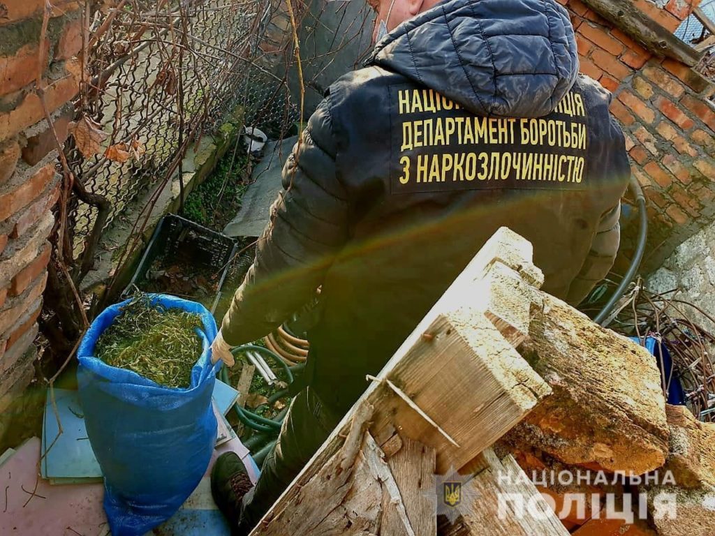 Николаевские полицейские нашли у двух жителей Вознесенска коноплю на более чем на 400 тысяч гривен (ФОТО) 3