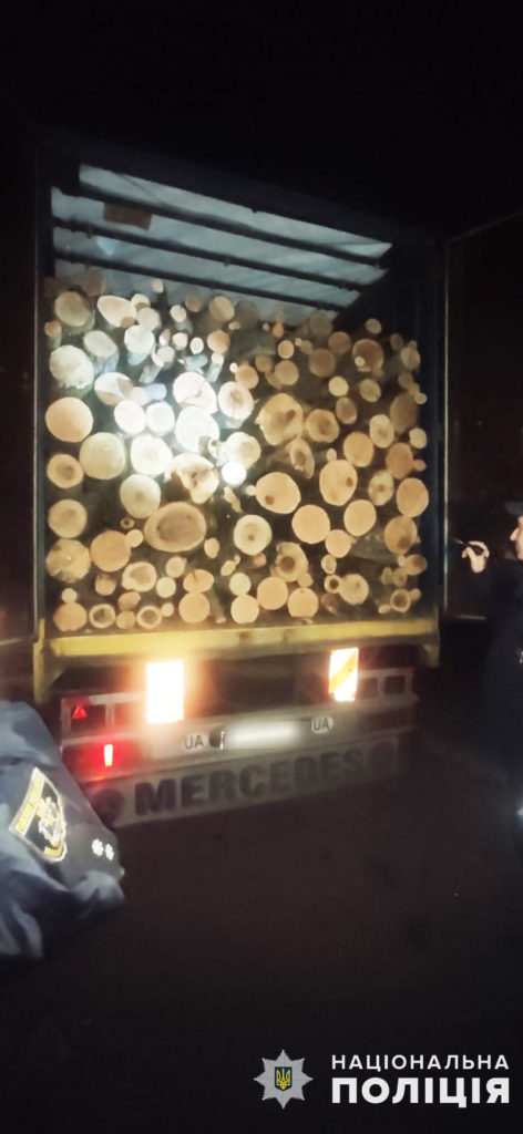 Более 45 куб. м незаконно спиленных дубов и ясеней изъяли правоохранители в Николаевской области (ФОТО) 5