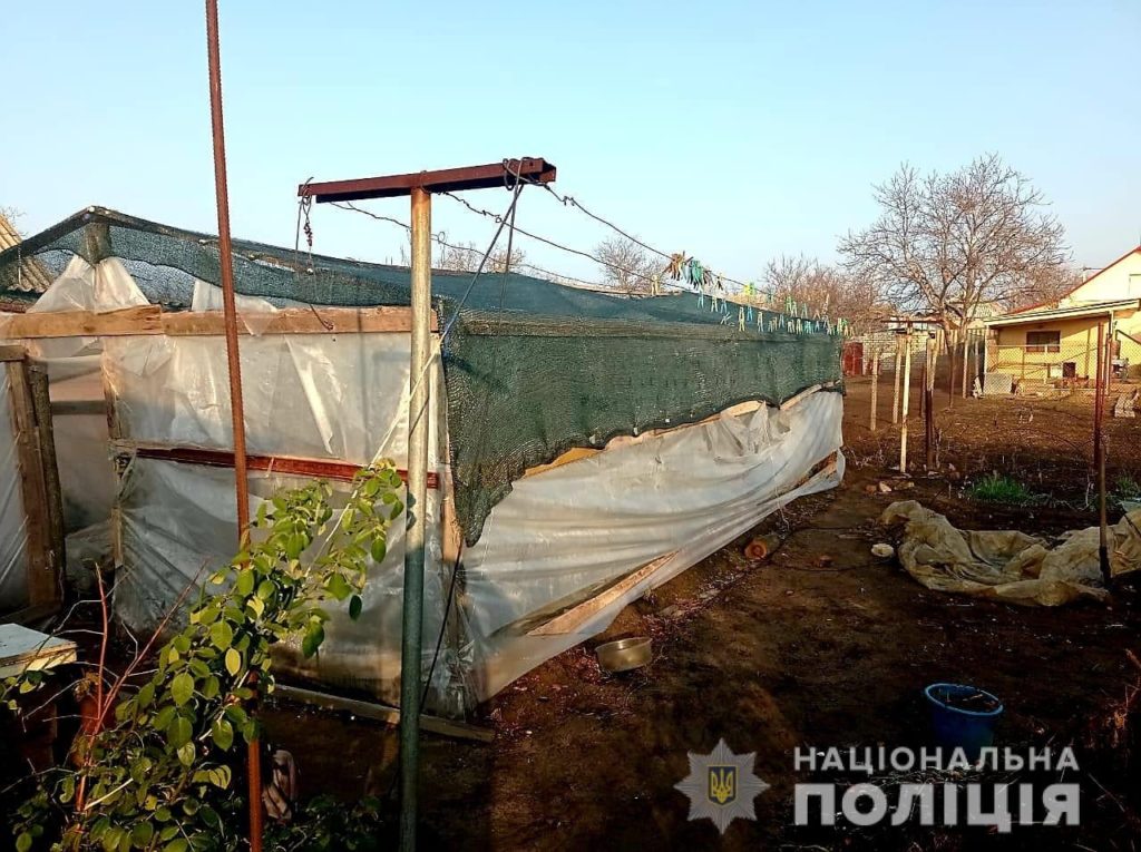 Николаевские полицейские нашли у двух жителей Вознесенска коноплю на более чем на 400 тысяч гривен (ФОТО) 7