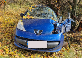 Под Николаевом Peugeot слетел в кювет и врезался в дерево – водителя из покореженного авто доставали спасатели (ФОТО)