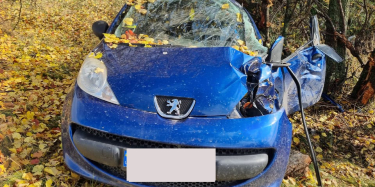 Под Николаевом Peugeot слетел в кювет и врезался в дерево – водителя из покореженного авто доставали спасатели (ФОТО)