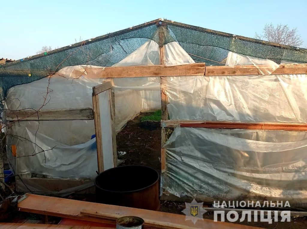 Николаевские полицейские нашли у двух жителей Вознесенска коноплю на более чем на 400 тысяч гривен (ФОТО) 11