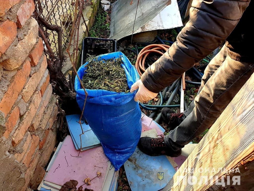 Николаевские полицейские нашли у двух жителей Вознесенска коноплю на более чем на 400 тысяч гривен (ФОТО) 13