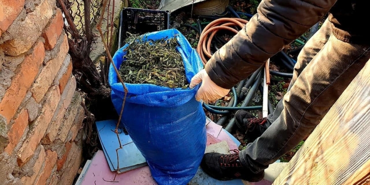 Николаевские полицейские нашли у двух жителей Вознесенска коноплю на более чем на 400 тысяч гривен (ФОТО)