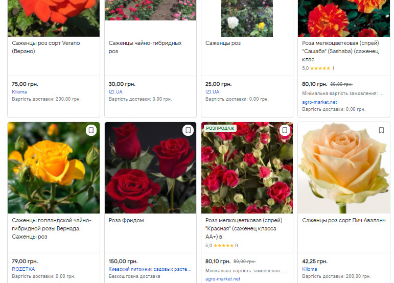 Николаевская ОГА купила 25 тысяч саженцев на программу "Миллиард деревьев": самшит и розы, малину и персик 11