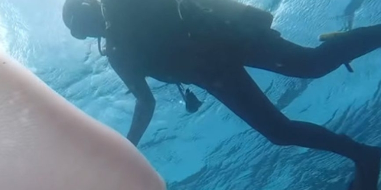 Ныряльщик снял гигантского морского “червя” (ВИДЕО)