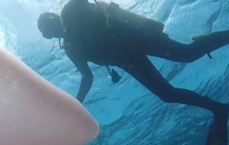 Ныряльщик снял гигантского морского “червя” (ВИДЕО)