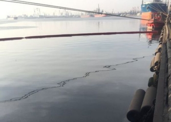 В порту Николаева аварийно разлилось растительное масло – очистили 3 тыс.кв.м акватории (ФОТО)