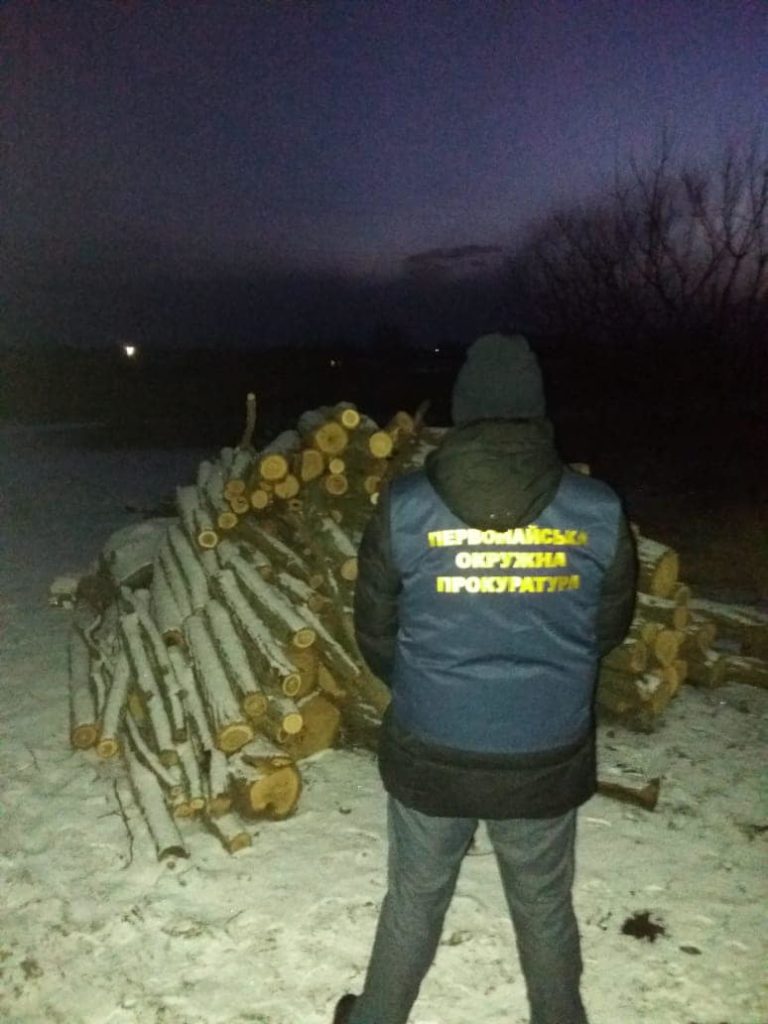 В Первомайском районе Николаевщины выявили группу «черных лесорубов» - они нарубили деревьев почти на 2 млн грн (ФОТО) 1