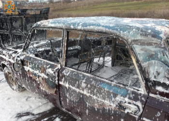 В Николаевской области на сельской дороге сгорела «шестерка»