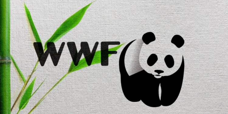 Мир приближается к крупнейшему массовому вымиранию флоры и фауны со времен динозавров – Всемирный фонд дикой природы