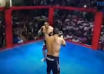В Бразилии мэр и депутат в бою на ринге решали вопрос финансирования аквапарка (ВИДЕО)