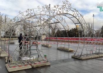 В Николаеве на Соборной площади устанавливают новогоднюю елку (ФОТО)