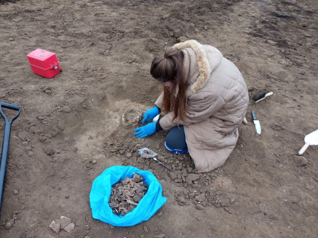 На Николаевщине впервые за последние 8 лет провели исследование кургана, оказавшегося в зоне застройки (ФОТО) 33