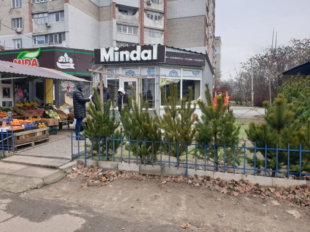 В Николаеве начали проверять елочные базары - уже оставили 4 протокола (ФОТО) 3