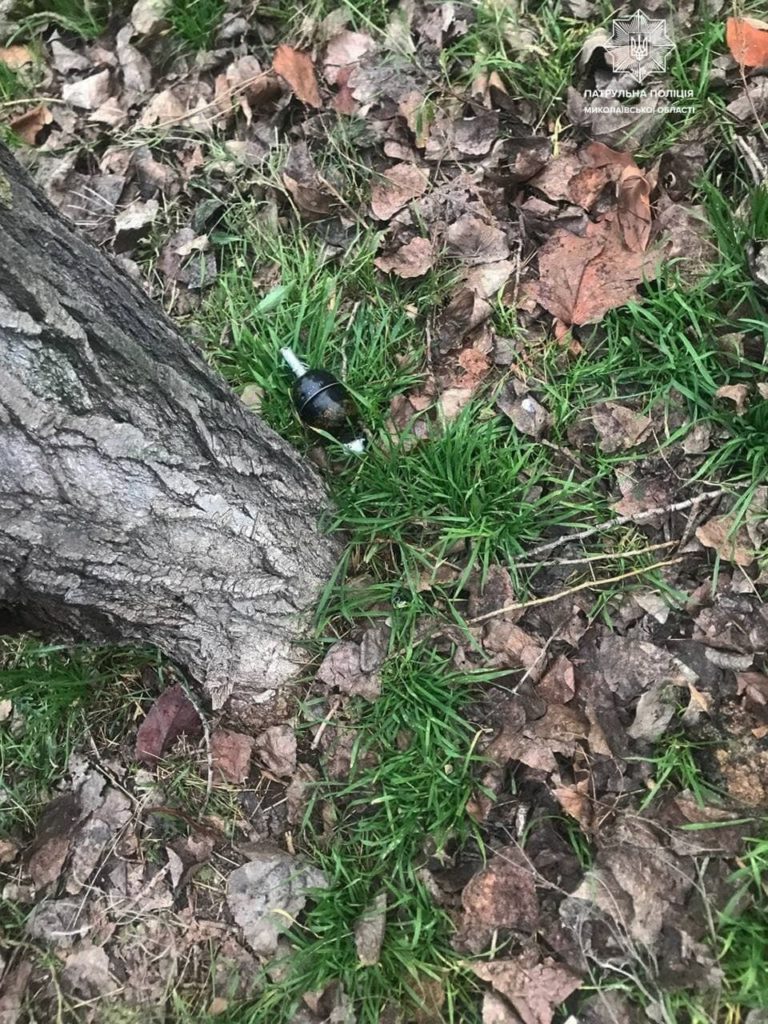На Намыве под деревом нашли гранату (ФОТО) 3